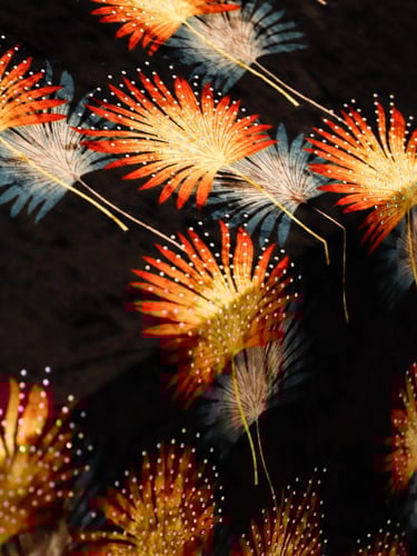 مخمل على سترتش مشغول بالكرستال