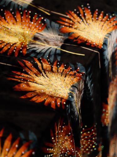 مخمل على سترتش مشغول بالكرستال