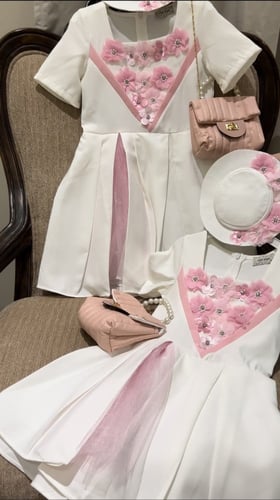 فستان الاناقة شامل الاكسسوار والشنطه