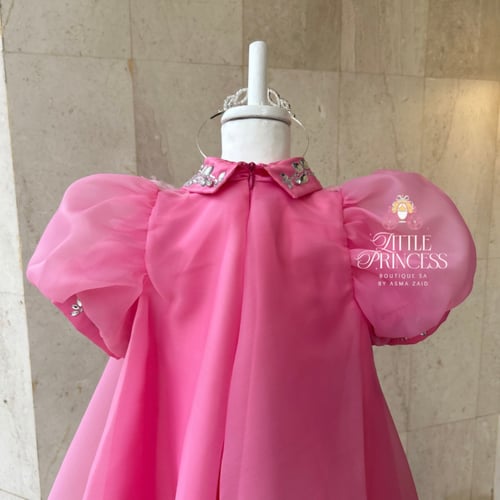 Pink chiffon dress with crystal collar + hair crow...