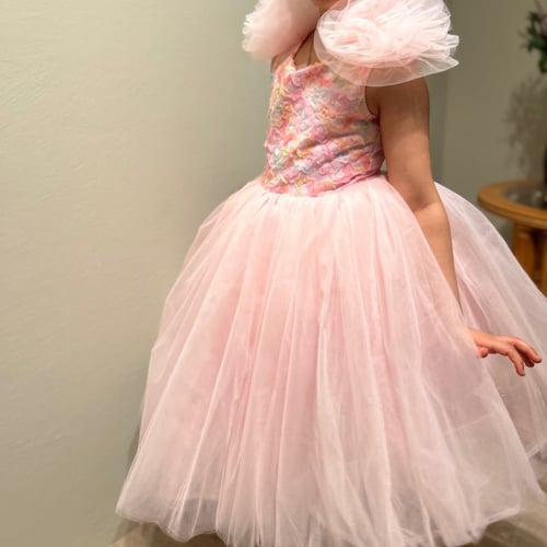 فستان الاميرات