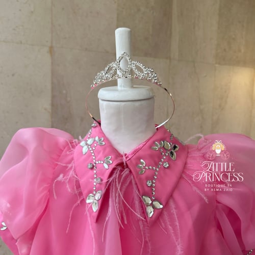 Pink chiffon dress with crystal collar + hair crow...