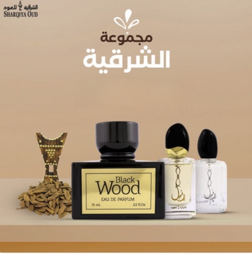 مجموعة الشرقية