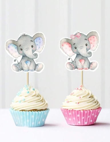 ضيافة الفيل المتكاملة لحفل كشف جنس الجنين