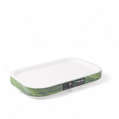 استاند اليوم الوطني وسط لون اخضر