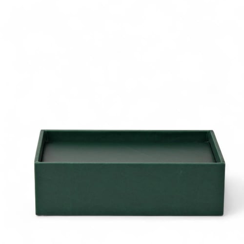 صينية جلد يوم وطني