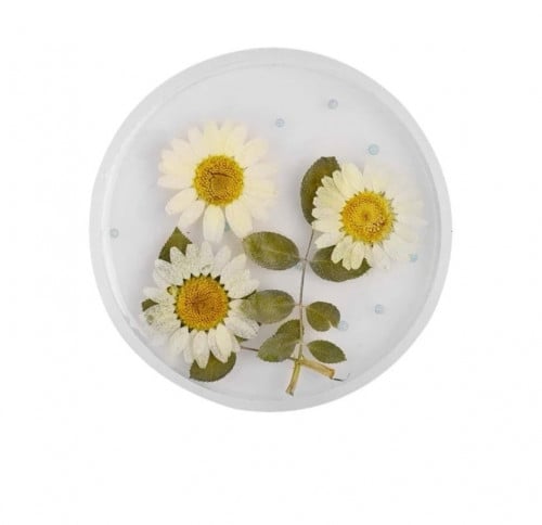 قالب سليكون دائري