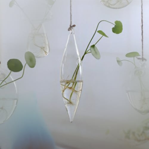 علاقي زرع H202