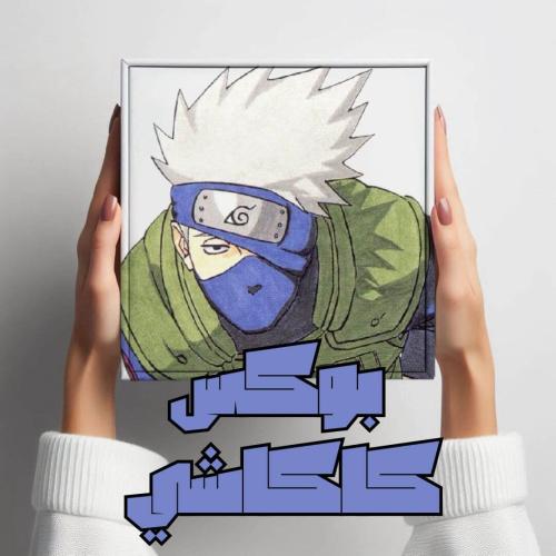 بوكس كاكاشي