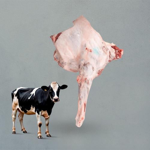 لحم عجل بلدي ربع ذبيحة