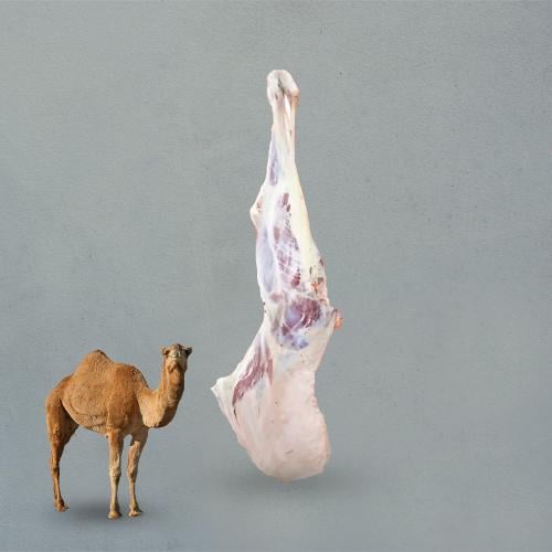 حاشي بلدي طازج ذبيحة كاملة