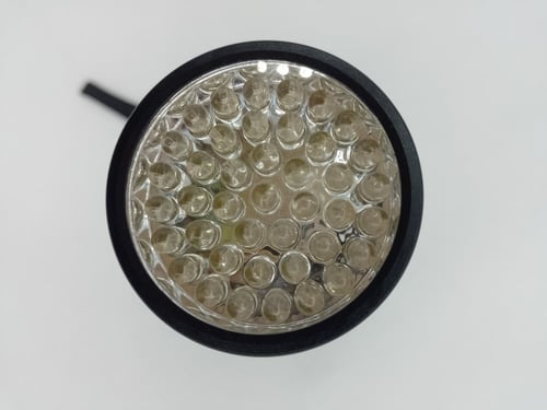 كشاف العقارب