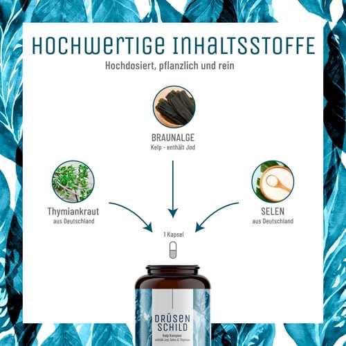 اليود العضوي والسلينيوم Iodine Kelp & Selenium