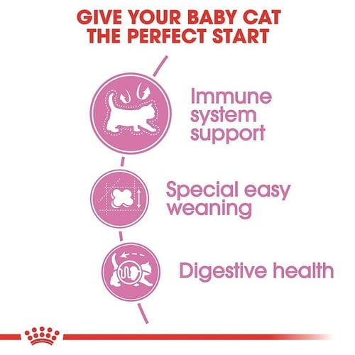 رويال كانين مذر أند بيبي كات للأم والصغار - 2 كغ