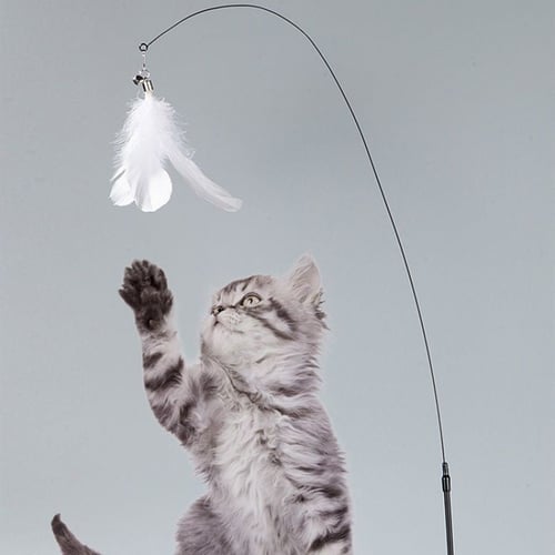 لعبة سنارة بلاستيكية مرنة للحيوانات الأليفة مع ريش...