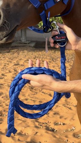 مقود