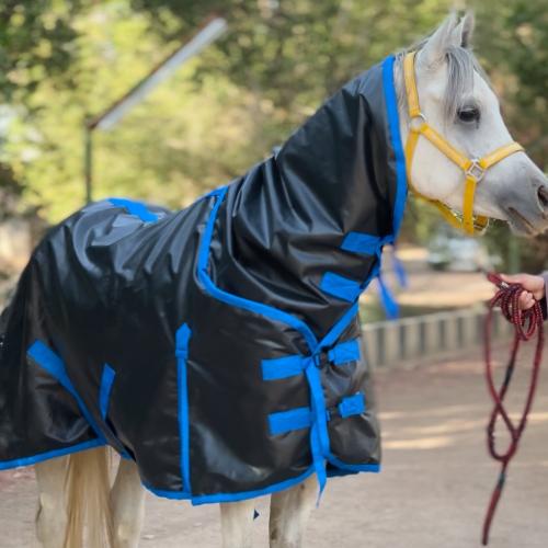 جلال برد