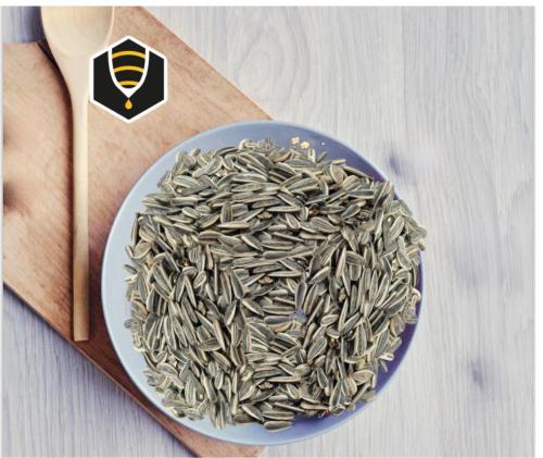 لب دوار الشمس