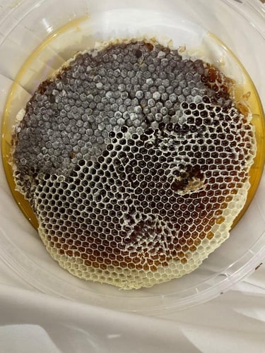 عسل شمع (زهور)