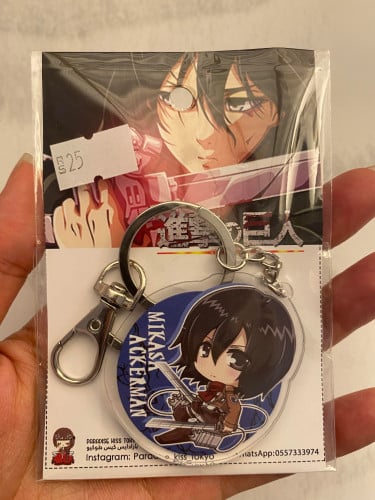 Attack on Titan - Mikasa Ackermann (10)