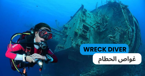 دورة تخصص حطام السفن – PADI Wreck Diver