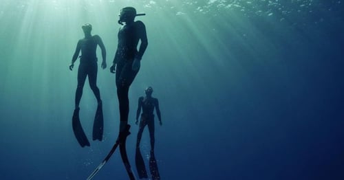 PADI Advanced Freediver – دورة الغوص الحر المتقدم