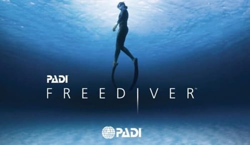 PADI Freediver – دورة الغوص الحر