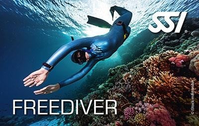 دورة أساسيات الغوص الحر (Freediving basics)
