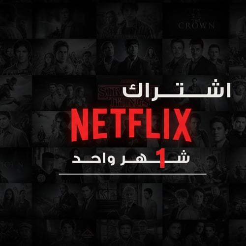 اشتراك netflix شهر واحد