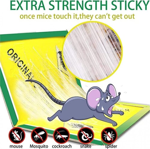 12 عبوة من مصائد غراء الفأر الكبيرة من إيزون مع ال...