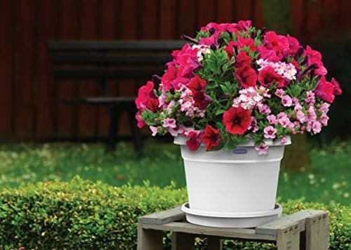 اصيص بلاستيكي دائري من كوزموبلاست 6 انش مع صينية