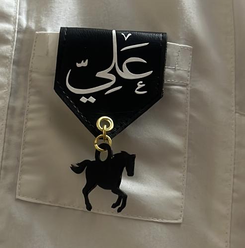 بروشات جلد مع حصان