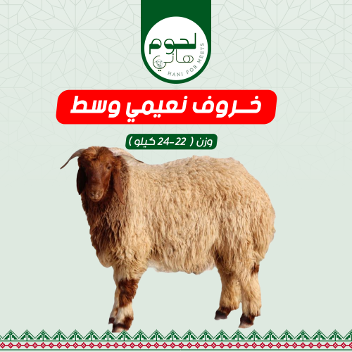 خروف نعيمي وسط