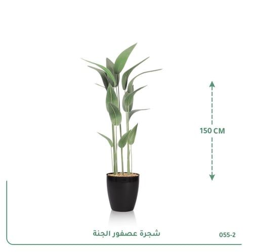 شجرة عصفور الجنة