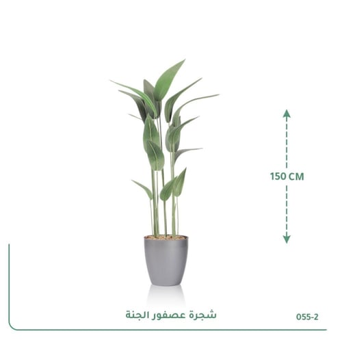 شجرة عصفور الجنة