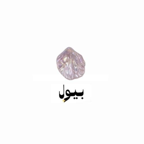 صدفة شفافة