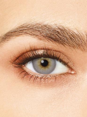 عدسات ديزيو اتيتود بريشس جري