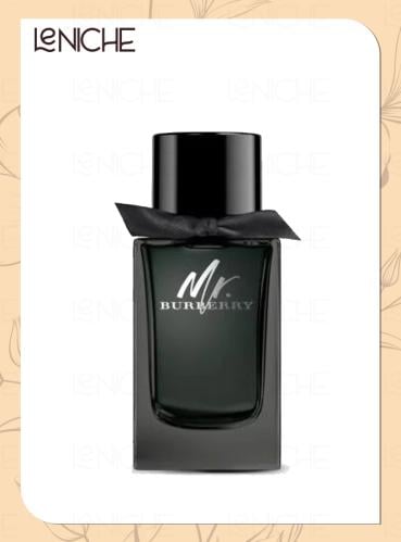 بربري مستر بربري او دي برفيوم 100 مل