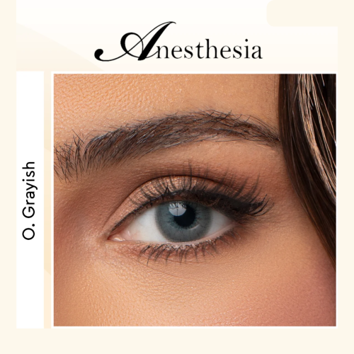 Anastasia daily contact lenses color gray