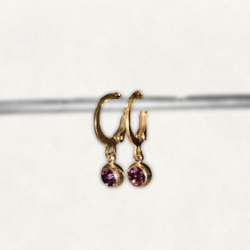 Red Gem Hoops - Gold Pair