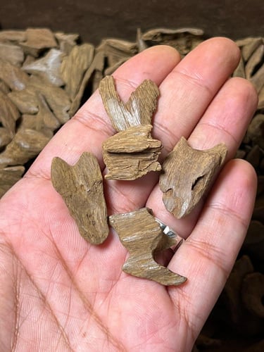 موروكي دقة نقوة