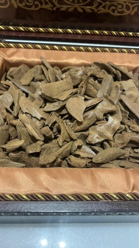 موروكي ميني