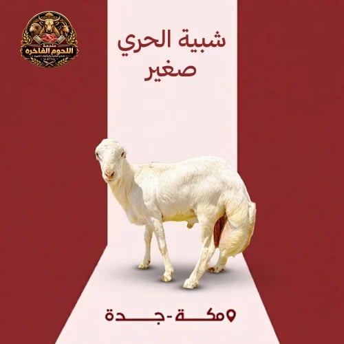شبية الحري صغير