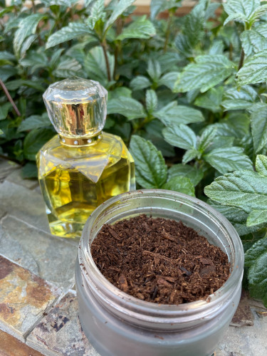 مبثوث فرنسي