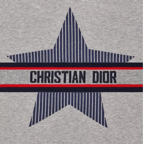 تي شيرت نسائي ديور DIORALPS T-SHIRTGray