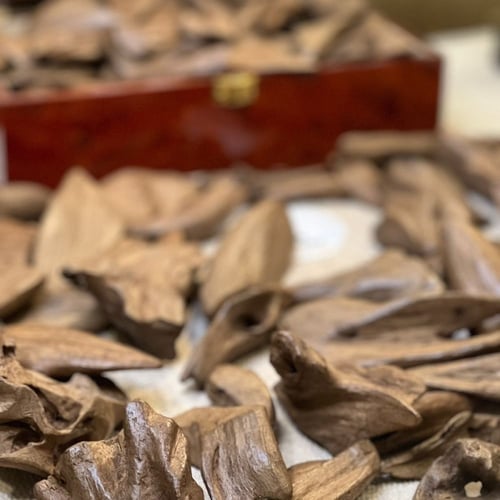 عود موروكي اصقون سوبر مرتفع بالجملة