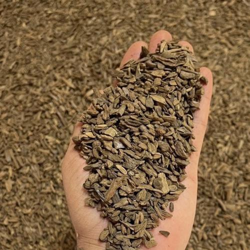 عود مروكي اصقون فصفص سوبر مرتفع بالجملة