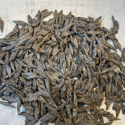 عود تايقر محسن فاخر