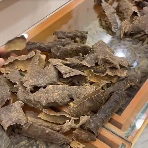 عود بورمي مرتفع ودبل قديم جملة