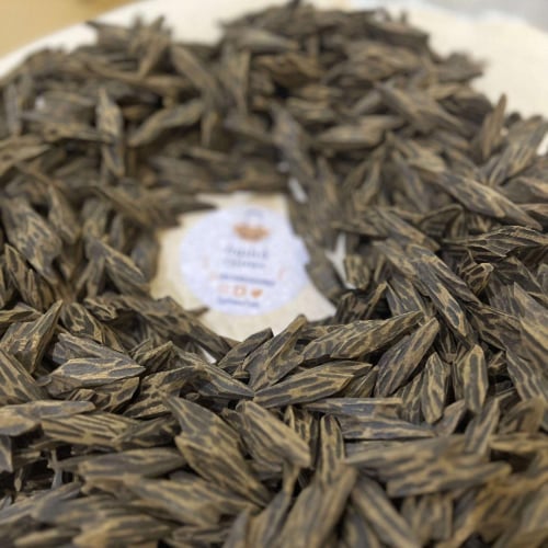 عود كمبودي تايقر vip